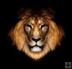 Creating Confidence